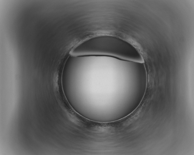 X0000110700201200906121042