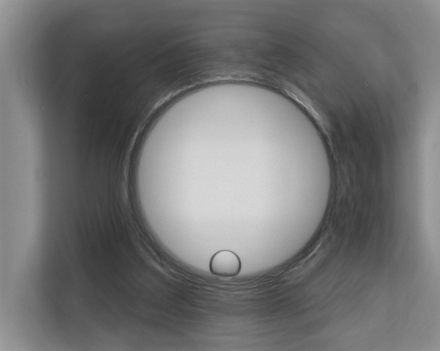 X0000110700203200906121042