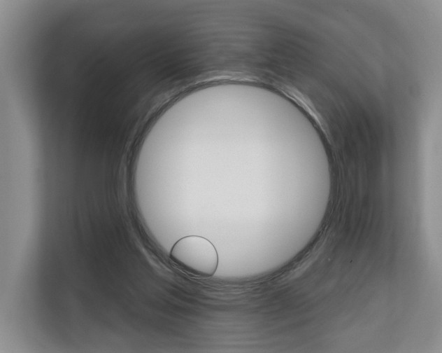 X0000110700205200906121042