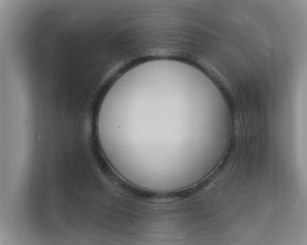 X0000110700208200906121042