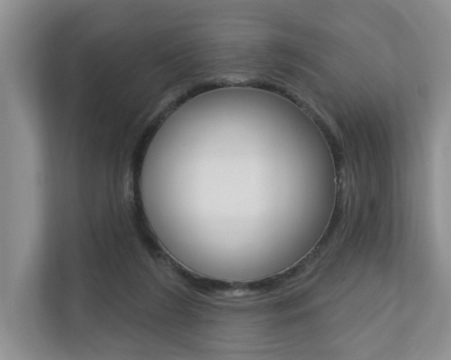 X0000110700212200906121042