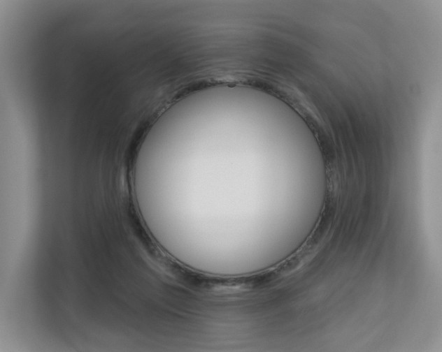X0000110700213200906121042