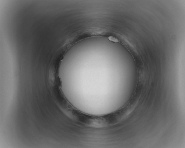 X0000110700215200906121042