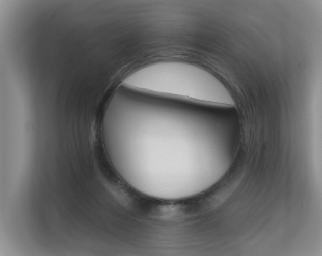 X0000110700216200906121042