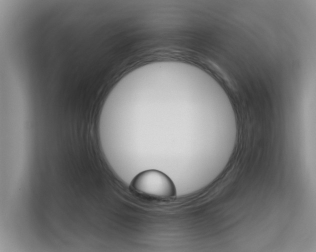 X0000110700217200906121042