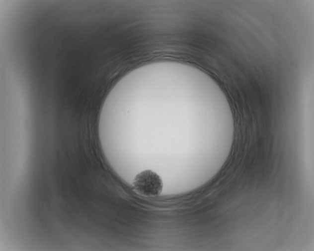 X0000110700219200906121042