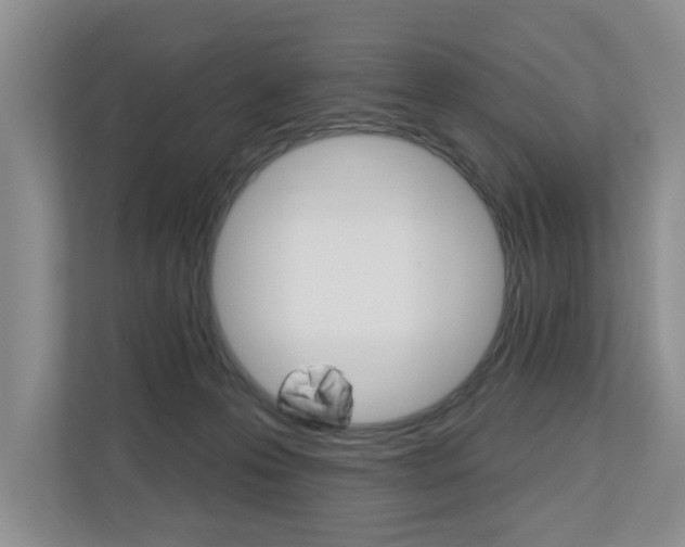 X0000110700223200906121042