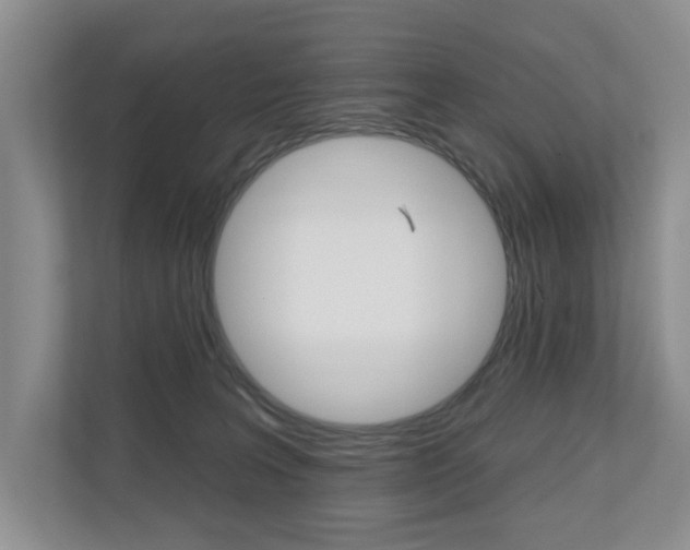 X0000110700227200906121042