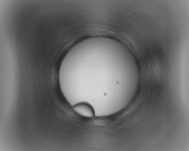 X0000110700228200906121042