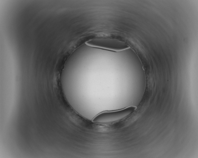 X0000110700229200906121042