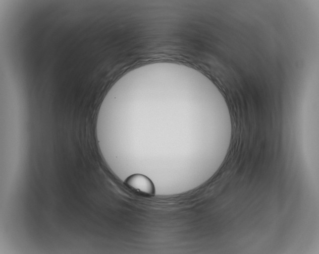 X0000110700231200906121042