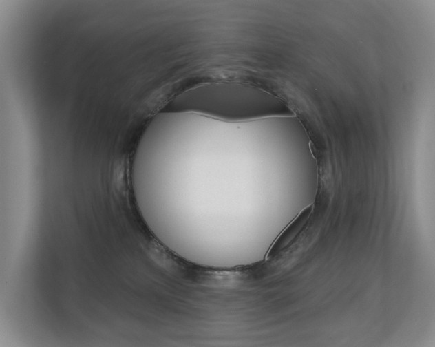 X0000110700233200906121042