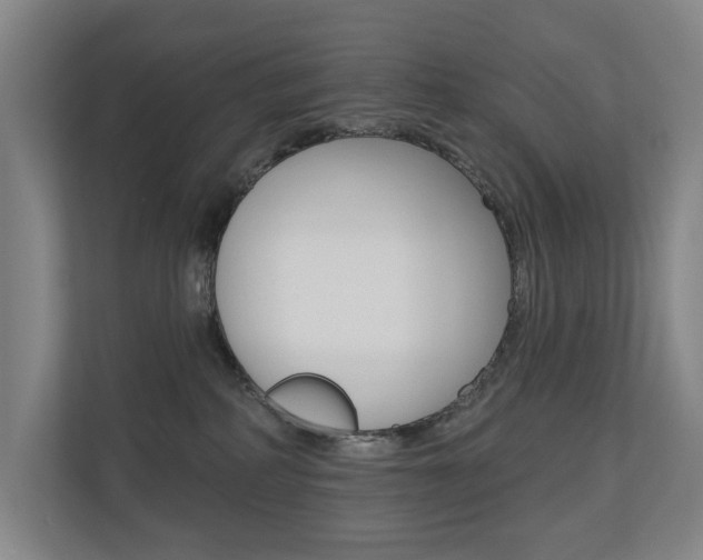 X0000110700234200906121042