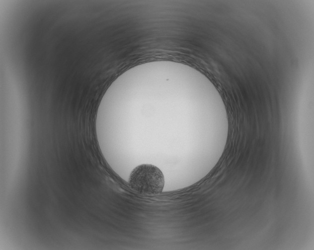 X0000110700235200906121042