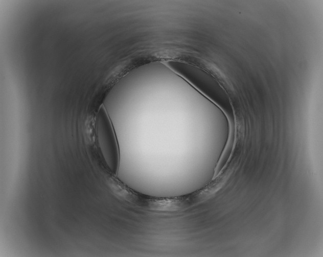 X0000110700237200906121042