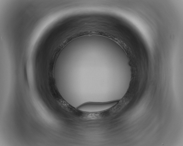 X0000110700239200906121042