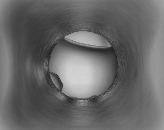 X0000110700240200906121042