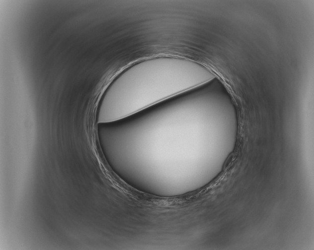 X0000110700241200906121041