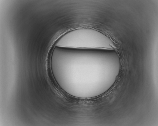 X0000110700242200906121041