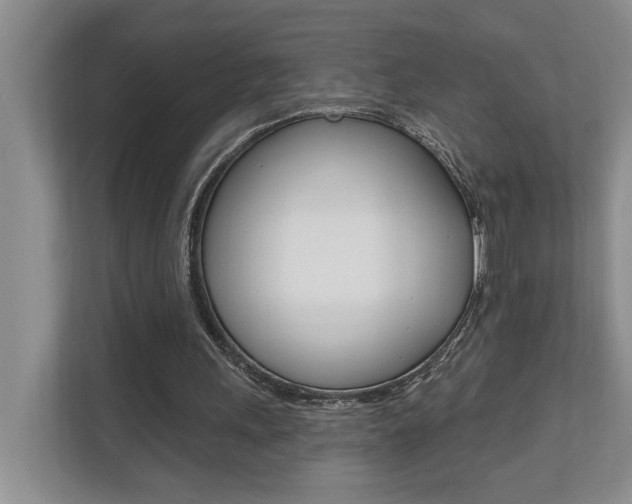 X0000110700243200906121041