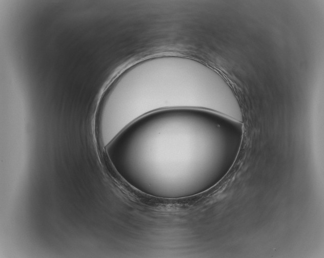 X0000110700244200906121041