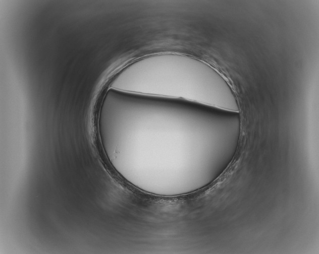 X0000110700245200906121041