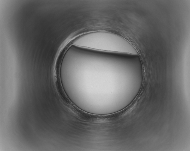 X0000110700246200906121041