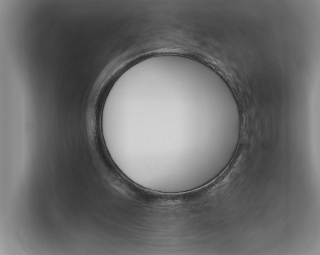 X0000110700247200906121041