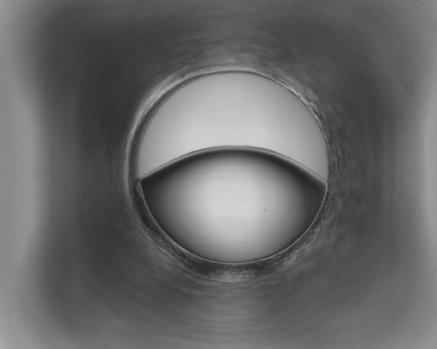 X0000110700248200906121041