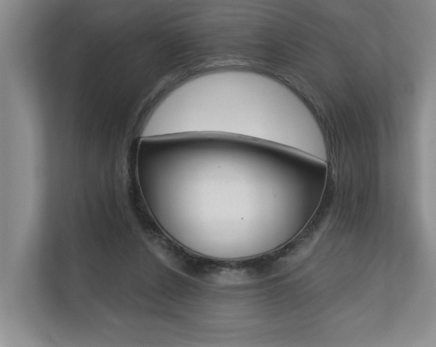 X0000110700256200906121041