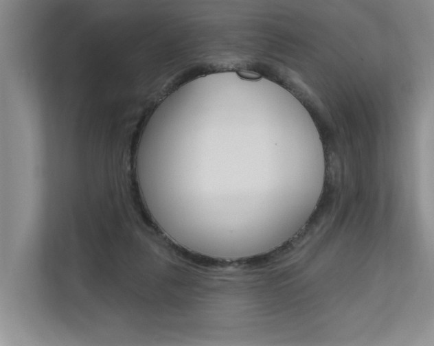 X0000110700259200906121041