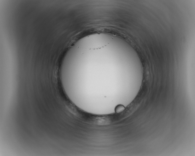 X0000110700275200906121042