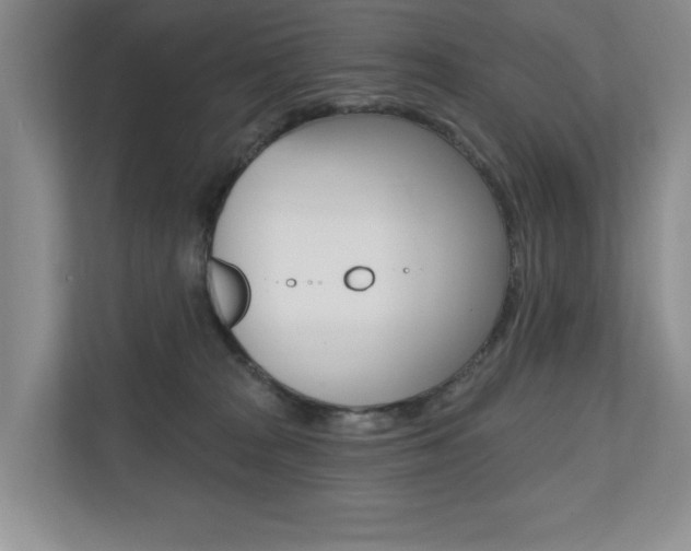 X0000110700277200906121042