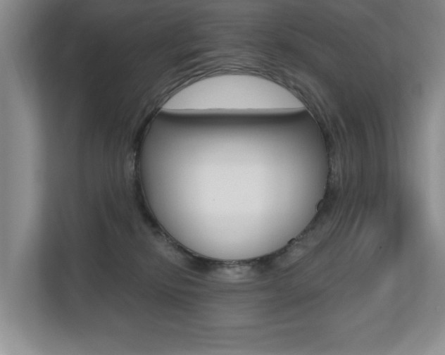 X0000110700278200906121042