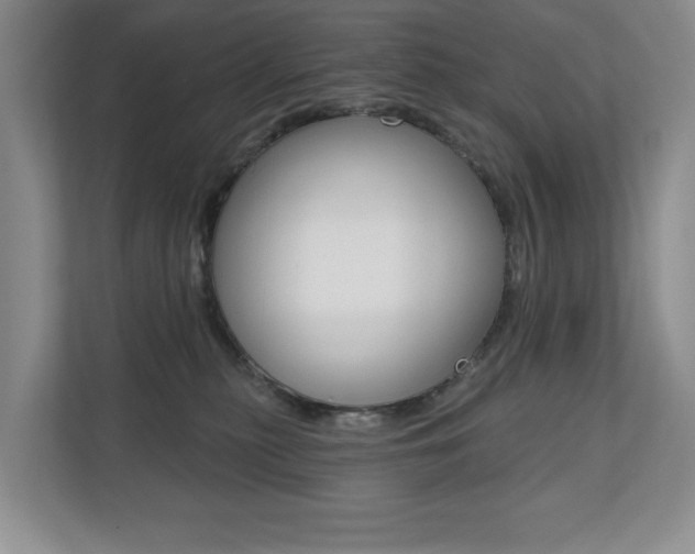 X0000110700279200906121042
