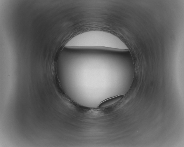 X0000110700280200906121042