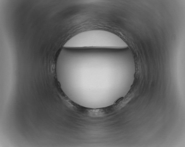 X0000110700281200906121042