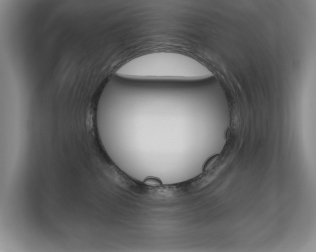 X0000110700282200906121042