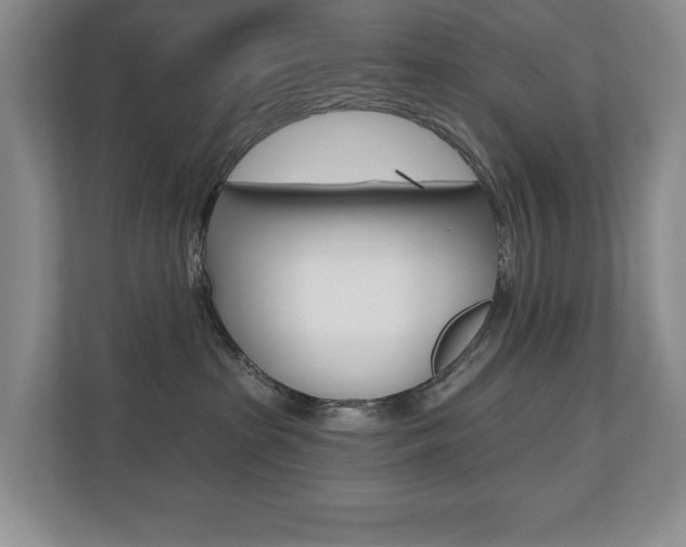 X0000110700285200906121042