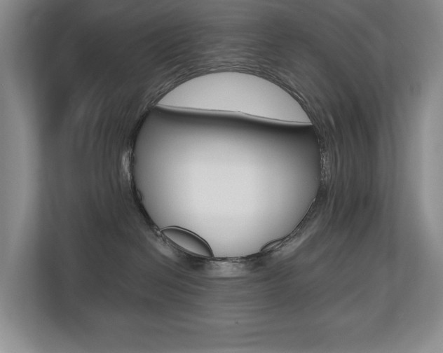 X0000110700286200906121042