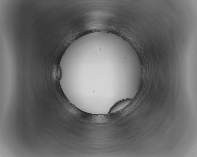 X0000110700287200906121042