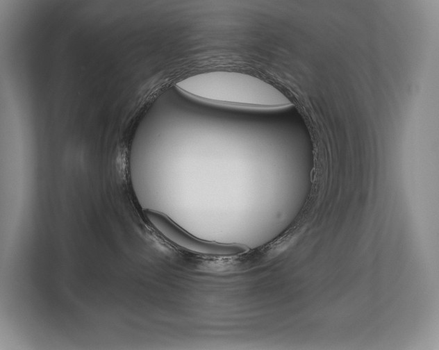 X0000110700288200906121042