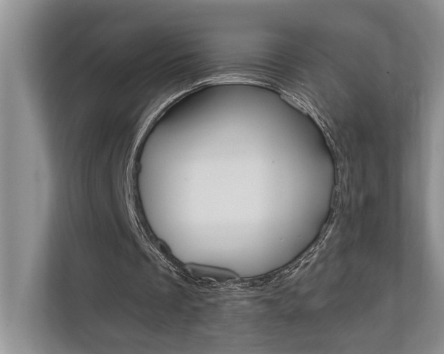 X0000110700289200906121041