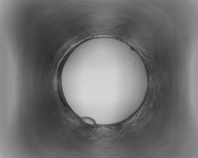 X0000110700290200906121041