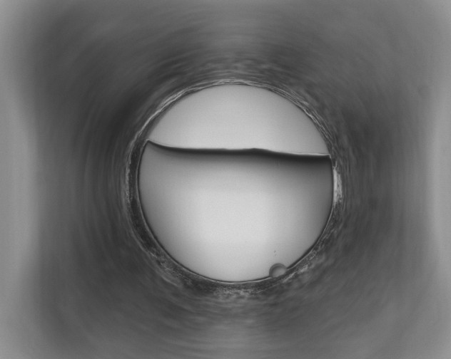 X0000110700291200906121041