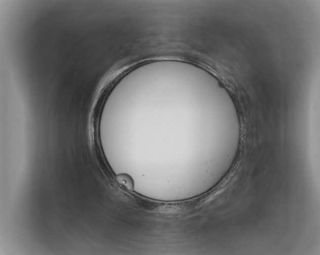 X0000110700294200906121041