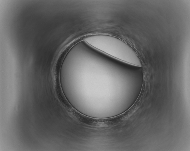 X0000110700295200906121041