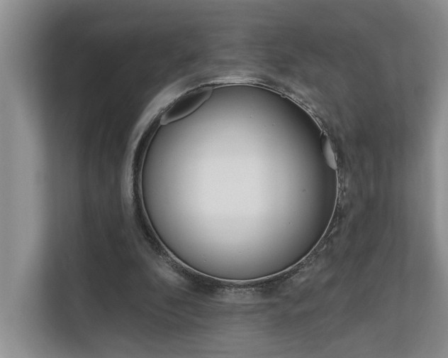 X0000110700296200906121041