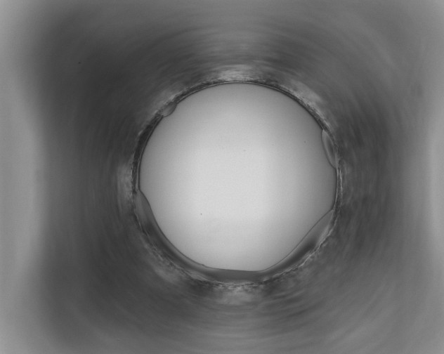 X0000110700297200906121041