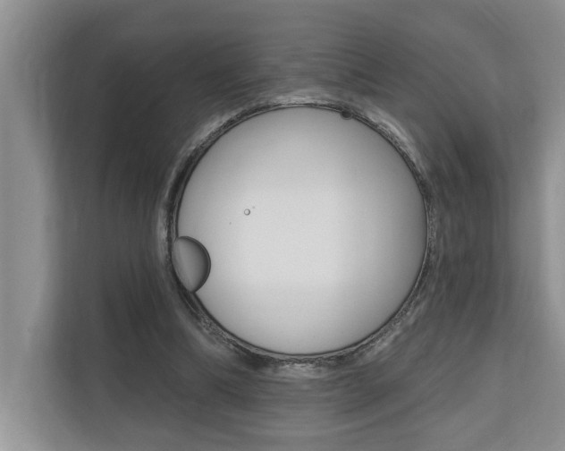 X0000110700298200906121041